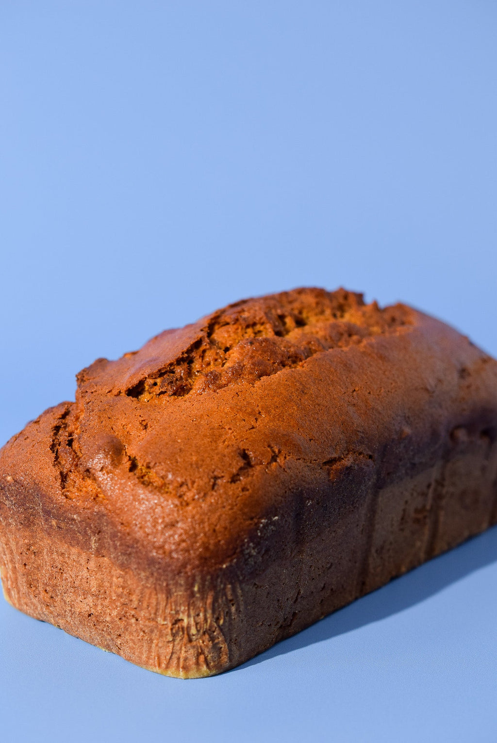 Pumpkin Walnut Bread image 0