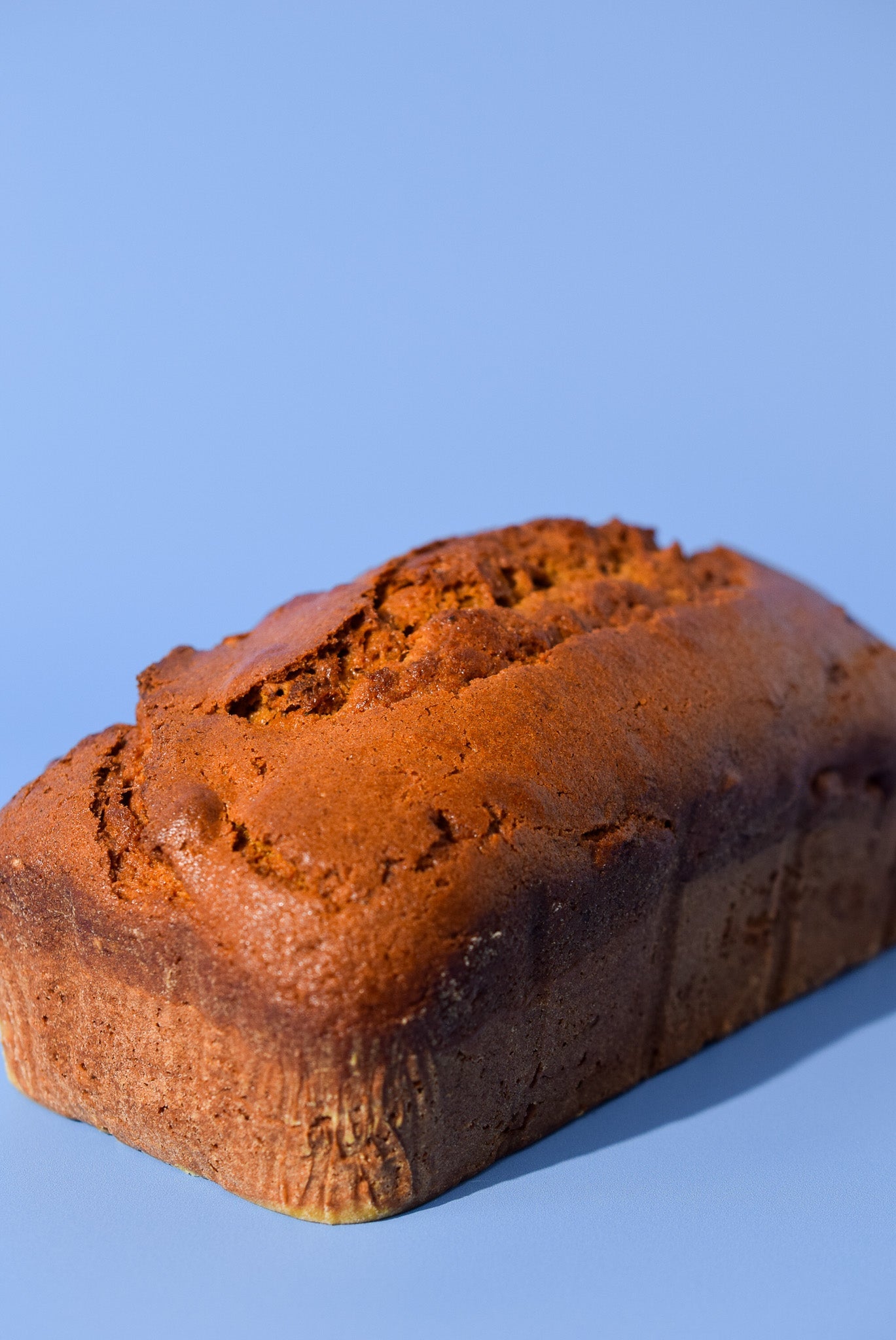 Pumpkin Walnut Bread image 0