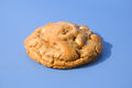 Ginger Molasses image 0