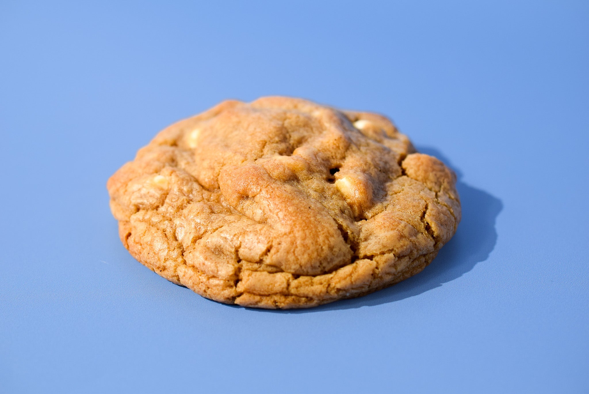 Ginger Molasses image 0