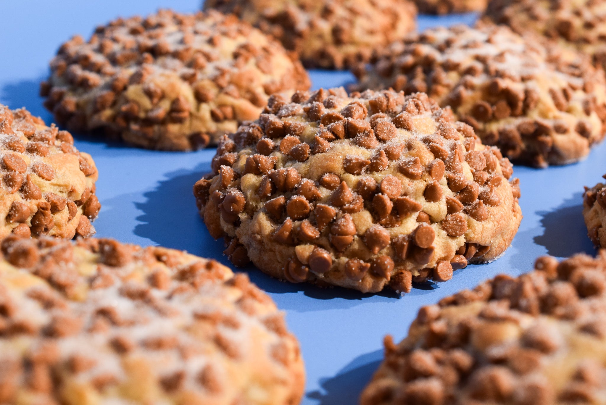 Caramel Apple Spice image 3