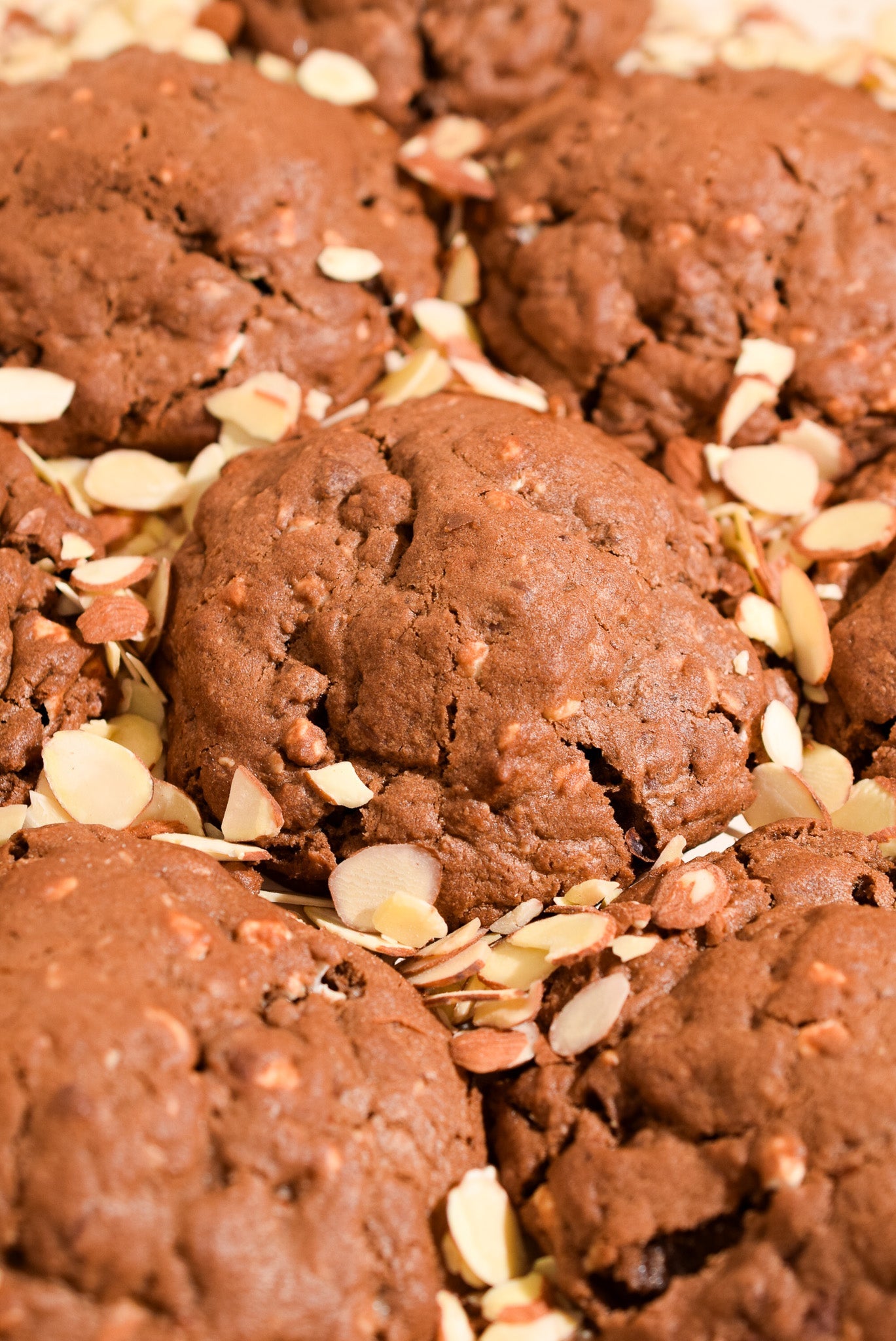 Rocky Road image 3