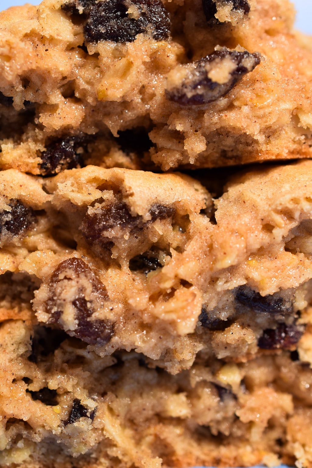Oatmeal Raisin image 2