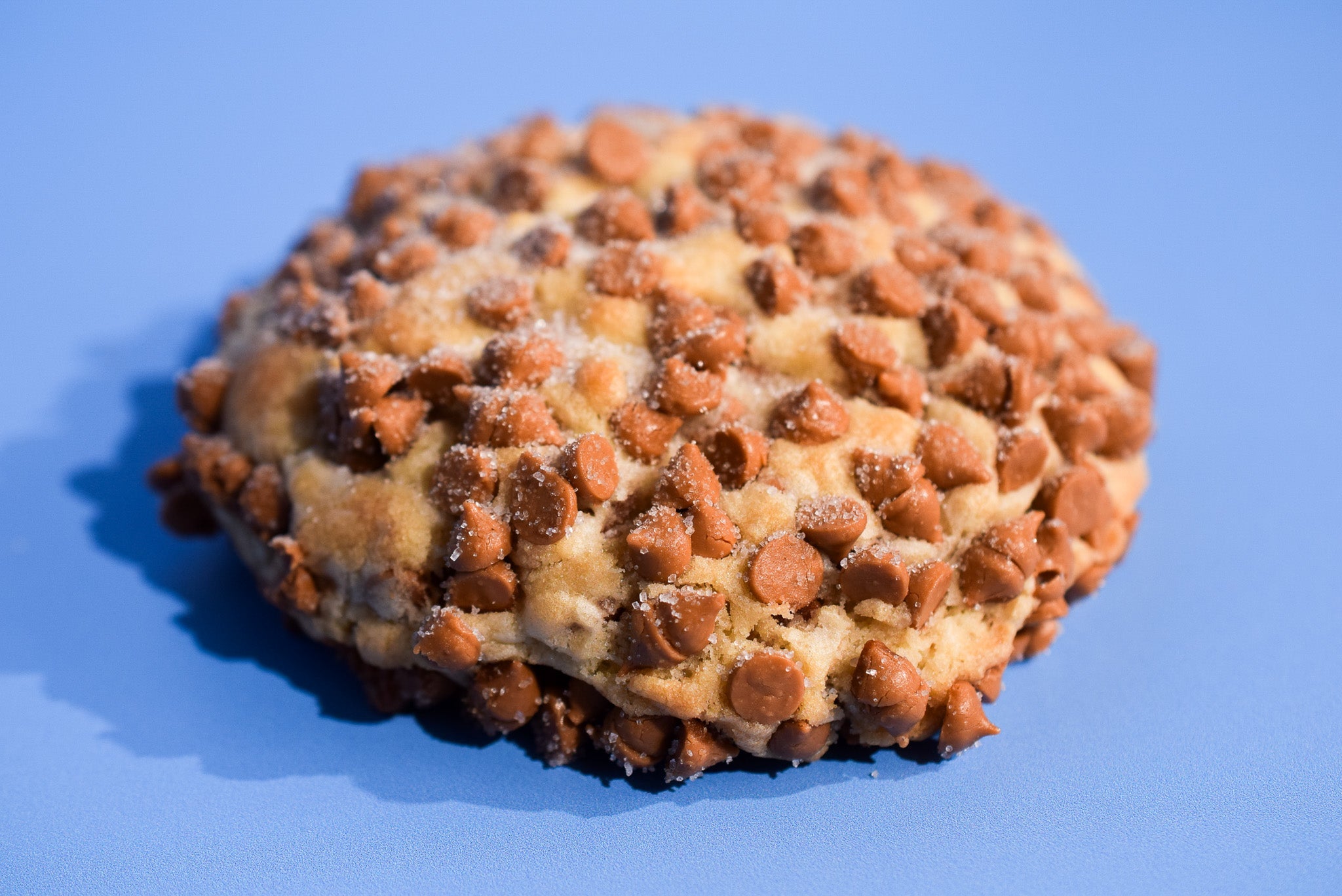 Caramel Apple Spice image 4