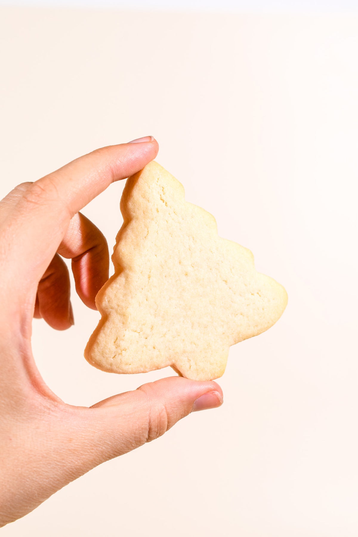A hand holding a small, tree-shaped sugar cookie against a plain, warm off-white background.