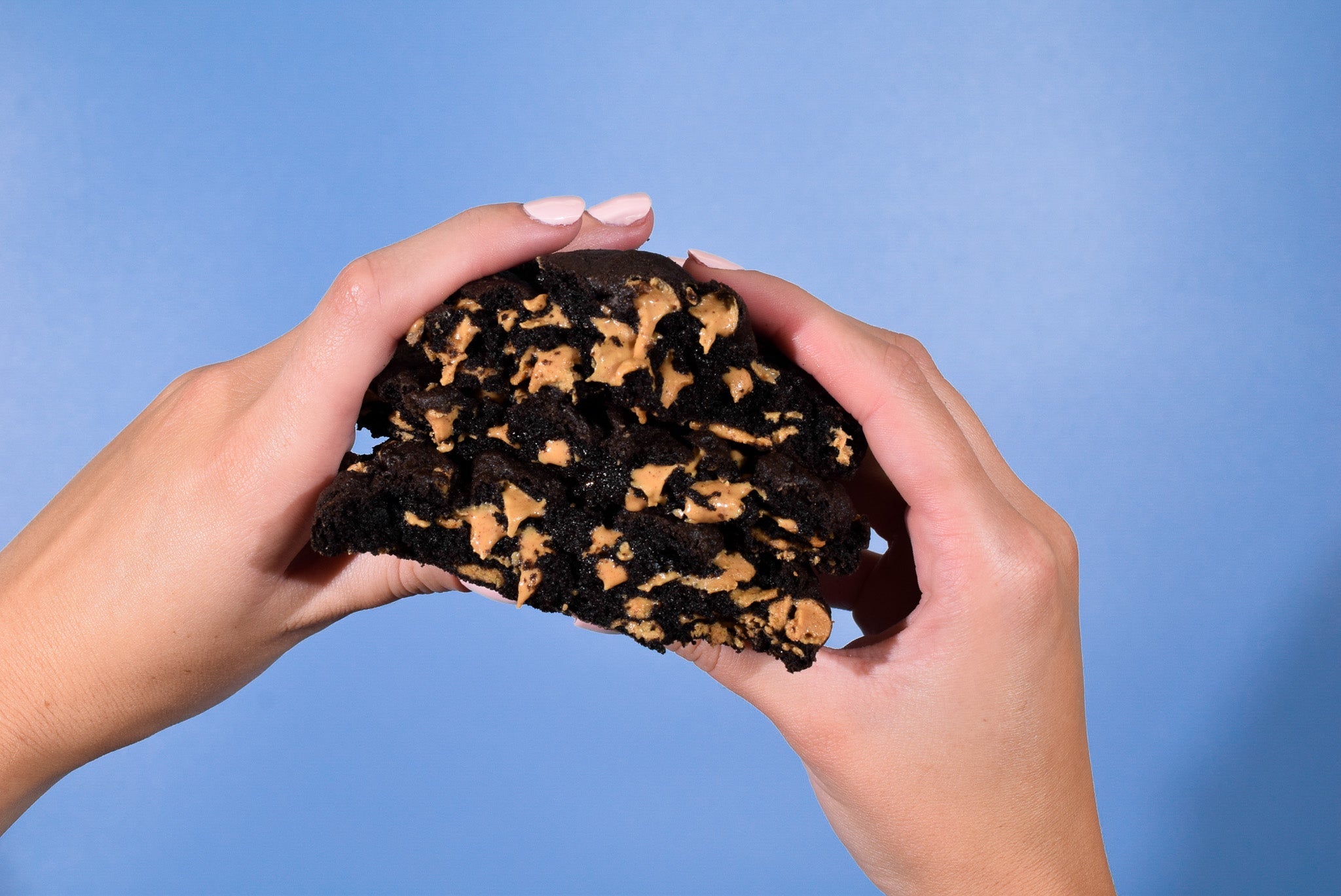Hands holding a Peanut Butter Cookies on a blue background.