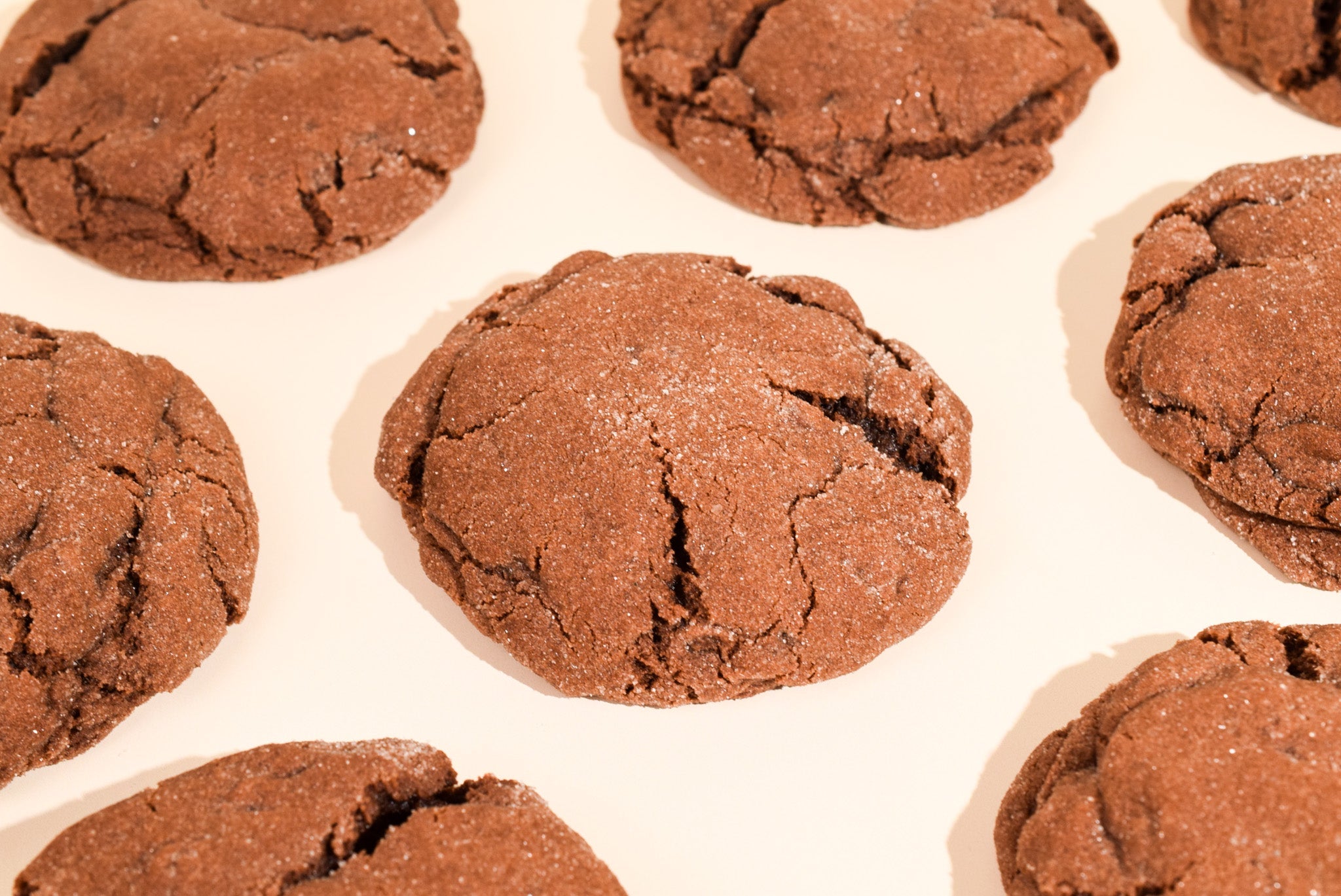 Chocolate Ginger image 3