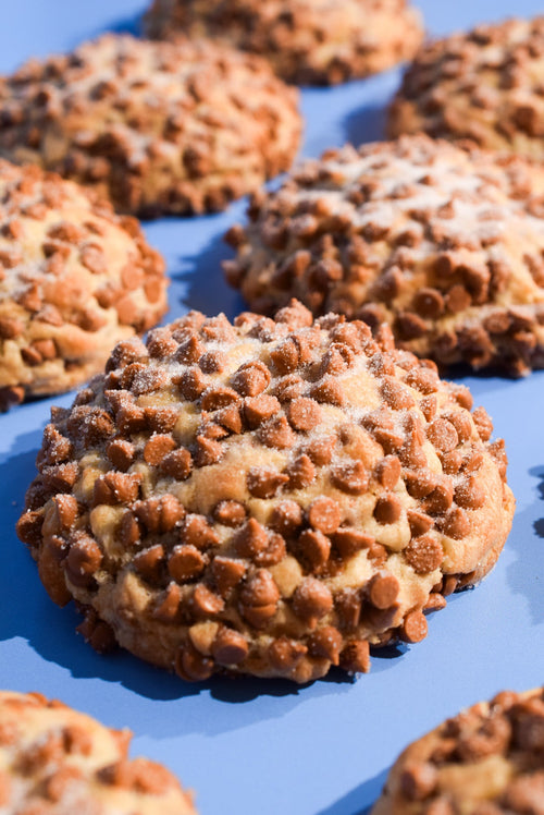 Caramel Apple Spice cookies dusted with powdered sugar on a blue background