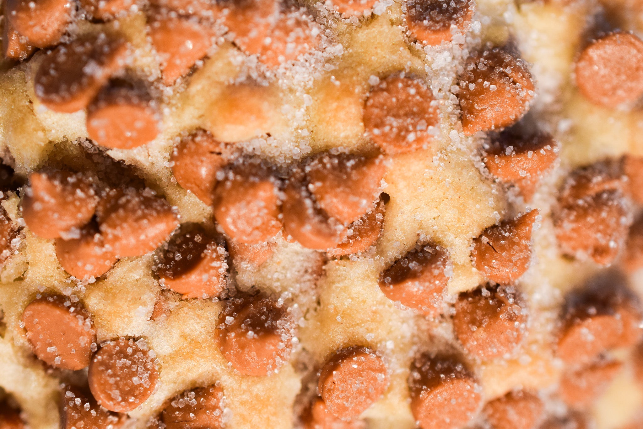Caramel Apple Spice image 2